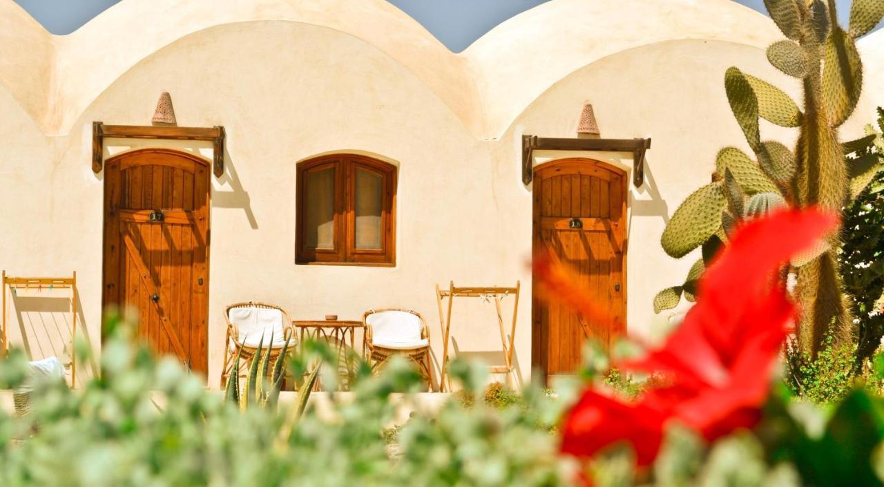 Marsa Shagra Village أبو ضباب المظهر الخارجي الصورة