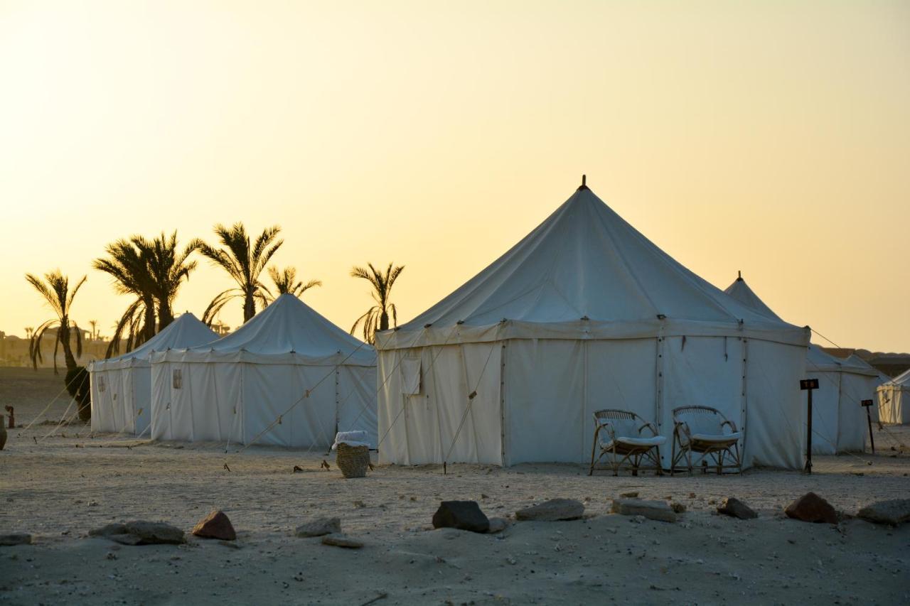 Marsa Shagra Village أبو ضباب المظهر الخارجي الصورة