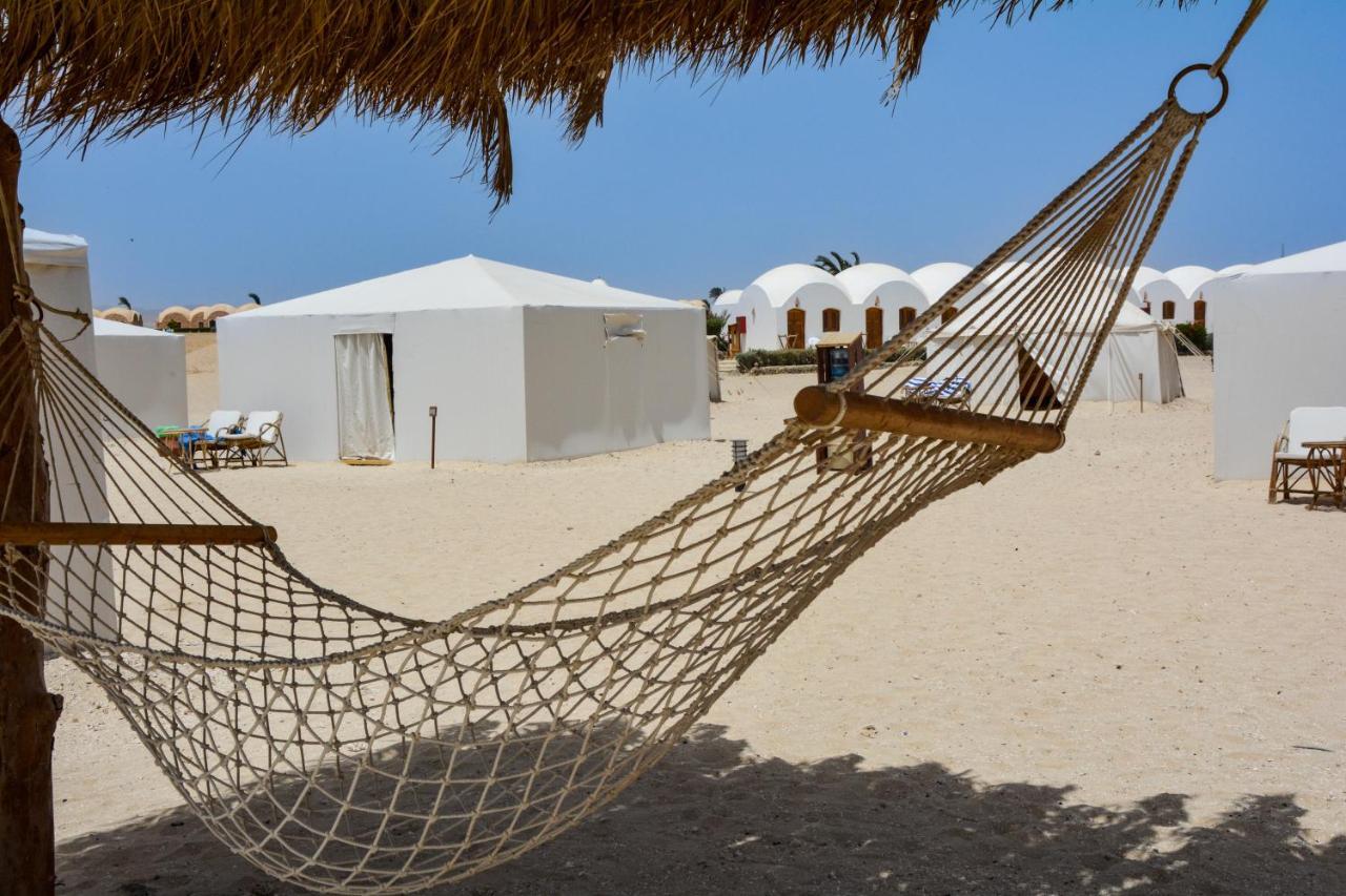 Marsa Shagra Village أبو ضباب المظهر الخارجي الصورة
