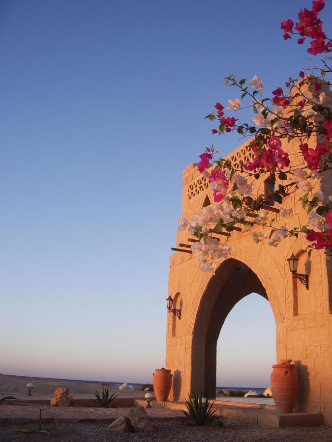Marsa Shagra Village أبو ضباب المظهر الخارجي الصورة